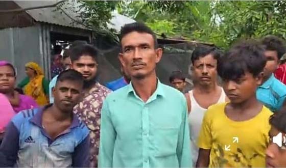 নিকলীতে কৃষকের গোয়ার ঘর থেকে ৯টি গরু চুরি