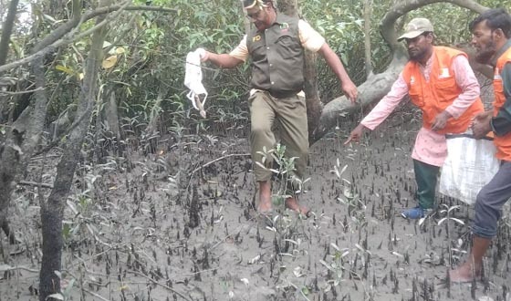 কয়রায় লোকালয়ে হতে টক্কর সাপ উদ্ধার, গহীন সুন্দরবনেই অবমুক্ত