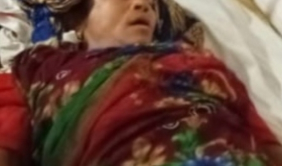 ভূরুঙ্গামারীতে সড়ক দুর্ঘটনায় বৃদ্ধার মৃত্য