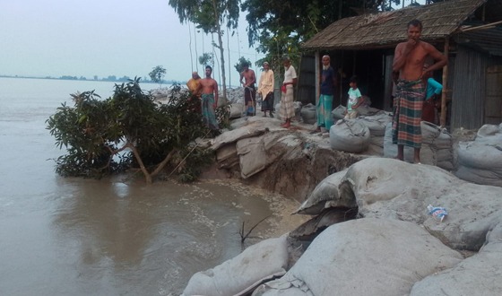 কুড়িগ্রামে তিস্তায় তীব্র নদী ভাঙ্গনে ৩০বাড়ি বিলীন