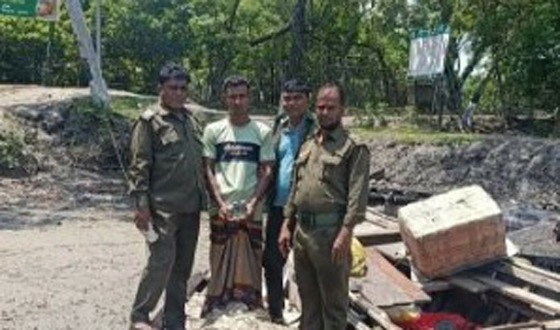 সুন্দরবনে বিষ প্রয়োগে মাছ ধরার অপরাধে ১ জেলে আটক