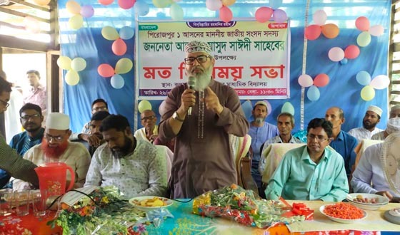 আ'লীগের মন্ত্রী এমপিদের সঙ্গে রাস্তার নামেও মামলা হয়েছে: মাসুদ সাঈদী