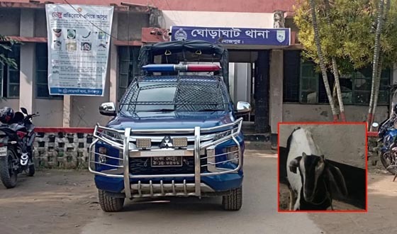 ঘোড়াঘাটে চোরকে রাজনৈতিক প্রভাবে ছেড়ে দেওয়ার অভিযোগ