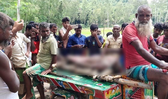 বকশীগঞ্জে বন্য হাতির আক্রমণে বৃদ্ধের মৃত্যু