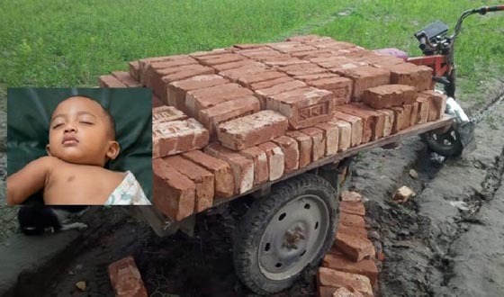 নকলায় ইট বোঝাই ভ্যান চাপায় শিশুর মৃত্যু