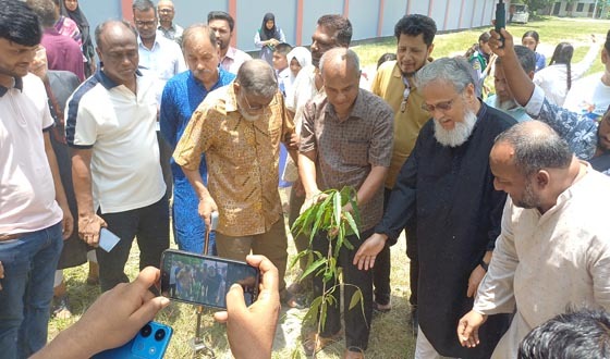 মুন্সীগঞ্জে লেইস প্রকল্পের আওতায় বৃক্ষরোপন