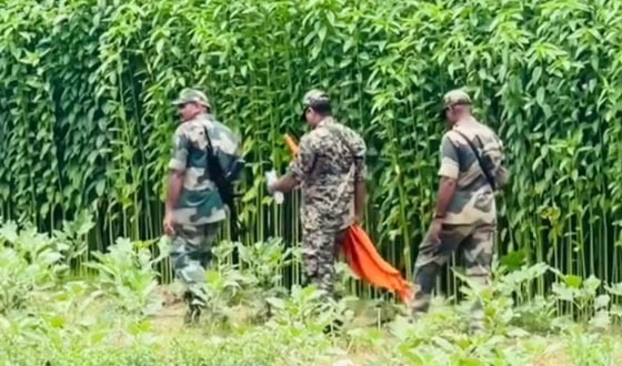 গাংনী সীমান্তে রাস্তার কাজে বিএসএফের বাধা