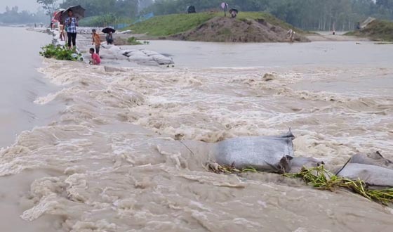 কুড়িগ্রামে বাঁধ ভেঙে লোকালয়ে পানি, পানিবন্দী ২০ গ্রামের মানুষ