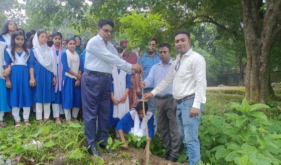 ঝিনাইদহে বিদ্যালয়ের আঙ্গিনায় বৃক্ষ রোপণ কর্মসূচির উদ্বোধন