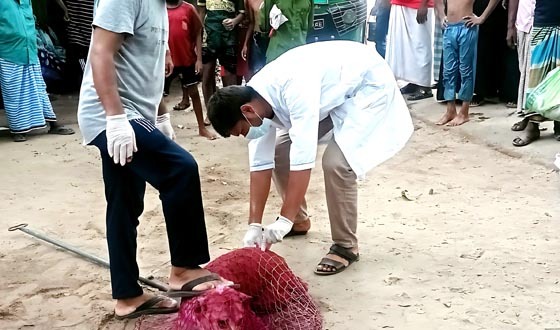 হোমনায় অবশেষে জলাতঙ্ক রোধে টিকাদান শুরু