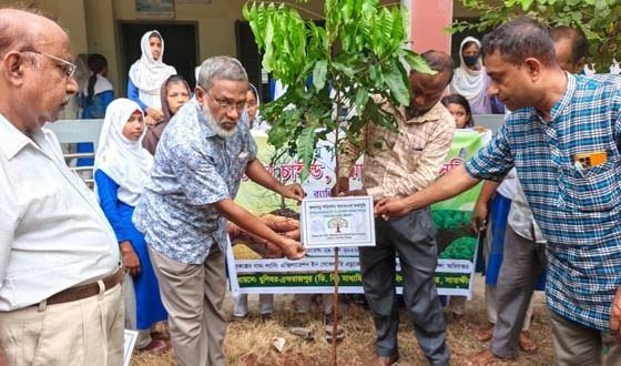 সাতক্ষীরায় ছাত্রীদের বৃক্ষরোপণ উৎসব, ‘একটি শিশু, একটি গাছ’