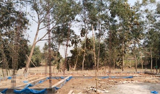 সখীপুরের কালমেঘা বিটে বনভূমি দখলের হিড়িক