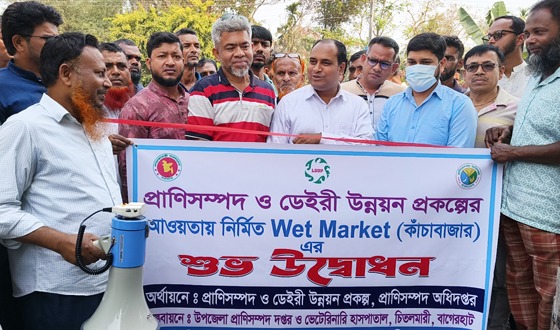 চিতলমারীতে কাঁচা বাজারের উদ্বোধন