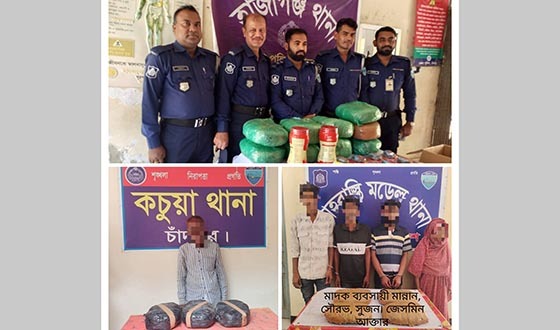 সাড়ে ২৯ কেজি গাঁজা ও ৩৫ পিস ইয়াবাসহ গ্রেফতার ৭