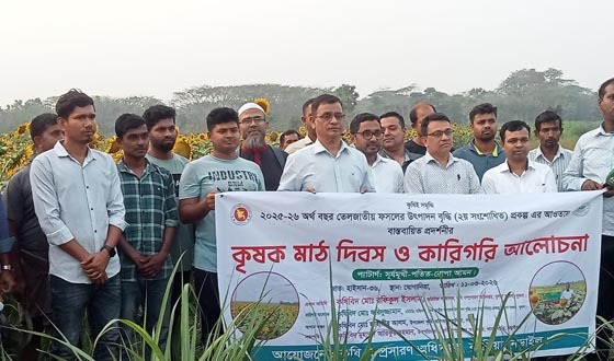 কালিয়ায় কৃষক মাঠ দিবস ও কারিগরি আলোচনা
