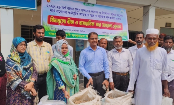 কাপাসিয়ায়  কৃষকদের মাঝে হলুদ বীজ ও সার বিতরণ