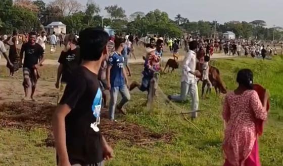 পূর্ব শক্রতার জেরে দুই গোষ্ঠীর মধ্যে সংঘর্ষে অর্ধশতাধিক আহত