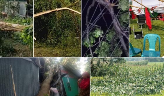 মতলবে কালবৈশাখী ঝড়ে তান্ডব, বিদ্যুৎ বিচ্ছিন্নসহ ব্যাপক ক্ষয়ক্ষতি