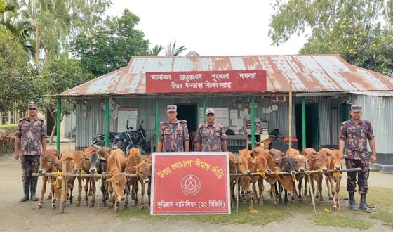 কুড়িগ্রামে ২৪ লাখ টাকার ভারতীয় পণ্য আটক