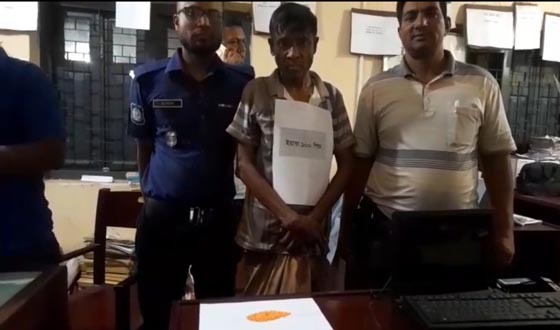 কালীগঞ্জে ইয়াবাসহ মাদক ব্যবসায়ী গ্রেফতার