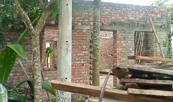 কলারোয়ায় আদালতের আদেশ অমান্য করে জমিতে গৃহ নির্মাণ