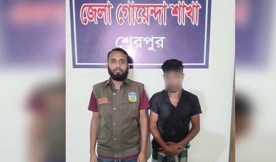 শেরপুরে হেরোইন-ইয়াবাসহ কারবারি আটক