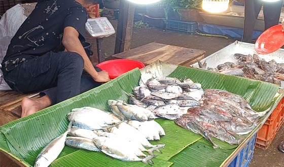 ঝালকাঠিতে মাছের দাম ঊর্ধ্বমুখী