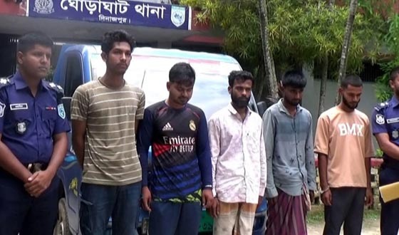 ঘোড়াঘাটে ৮ জন চোর ও ডাকাত গ্রেপ্তার