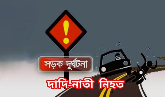 বরিশালে হানিফ পরিবহনের চাঁপায় দাদি-নাতী নিহত
