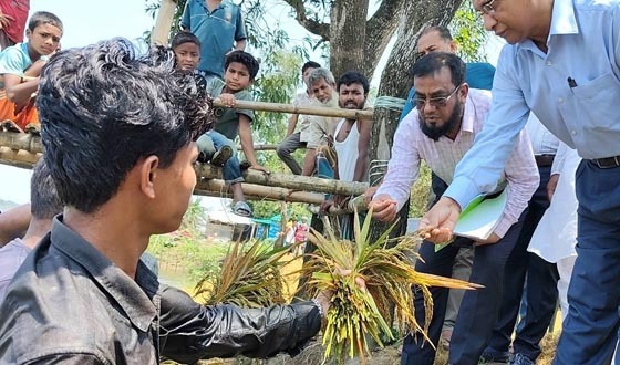 মাঠপর্যায়ে পরিদর্শন ও ক্ষতিগ্রস্ত কৃষকদের সহায়তার ঘোষণা