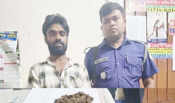 ইয়াবা ও গাঁজাসহ মাদক কারবারি গ্রেপ্তার