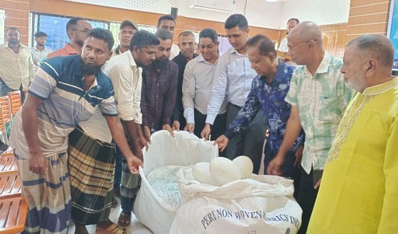 এক টাকায় তিনটা ইলিশ বিক্রি করতে দেখেছি: এমপি মোশাররফ
