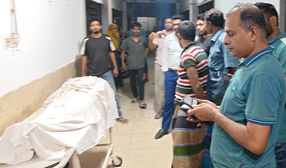 মেহেরপুরে জমি বিরোধে ভাইয়ের হাতে ভাই খুন