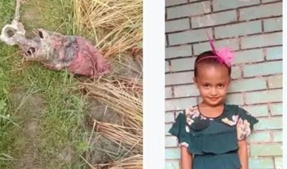 কলমাকান্দায় ৬ বছরের কন্যা শিশুর মরদেহ ধানক্ষেত থেকে উদ্ধার