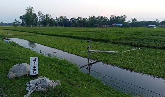 বিরলে হঠাৎ ঘুর্নিঝড়ে ব্যাপক ক্ষয়ক্ষতি