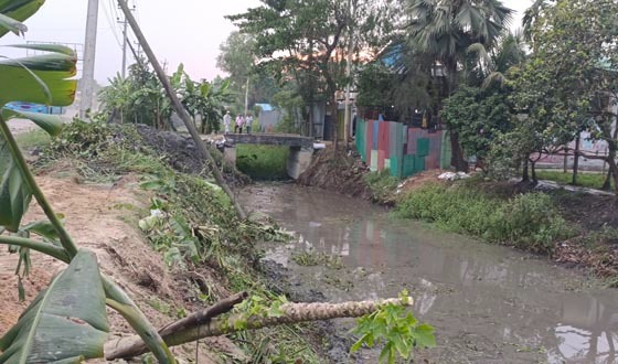 সেনবাগে অবৈধ কালভার্ট ও রাইস মিলের ছাঁইয়ে খাল ভরাট
