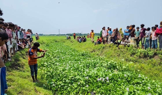 পাবনায় খাল থেকে অজ্ঞাত ব্যক্তির মরদেহ উদ্ধার