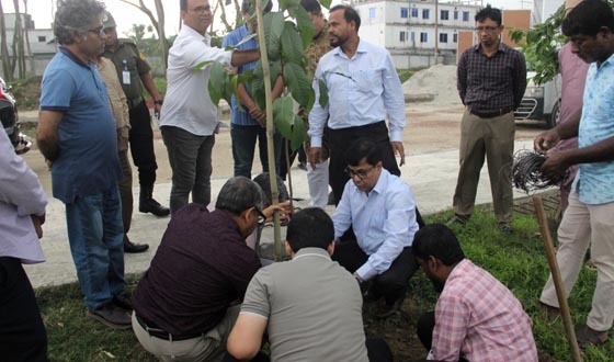 কবি নজরুল বিশ্ববিদ্যালয়ে বৃক্ষরোপণ কর্মসূচির উদ্বোধন