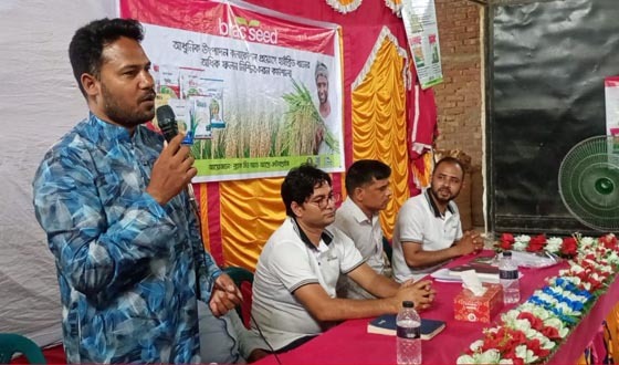 ফুলবাড়ীতে কৃষকদের উন্নতজাতের ধানের বীজ বিতরণ