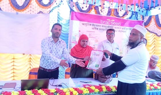 হাইব্রিড ধানের অধিক ফলন নিশ্চিতকরণে কর্মশালা