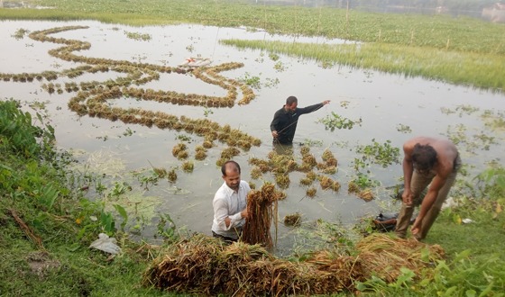 মেলান্দহে ভারী বর্ষণে পানির নিচে বোরো ধান