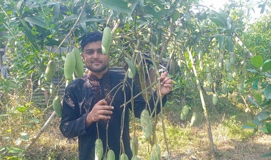 টিউশনের টাকায় ফল বাগান, বছরে আয় ৭ লাখ টাকা