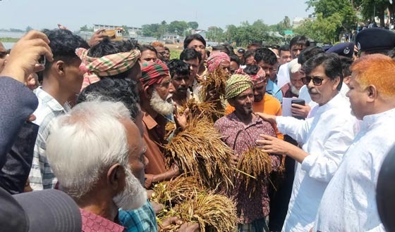 সরকার ক্ষতিগ্রস্ত কৃষকদের পাশে আছেন: কৃষিমন্ত্রী