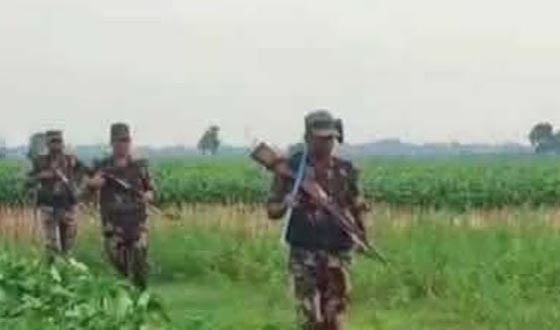 দৌলতপুর সীমান্তে অবৈধ অনুপ্রবেশ রোধে বিজিবির সতর্কতা জারি