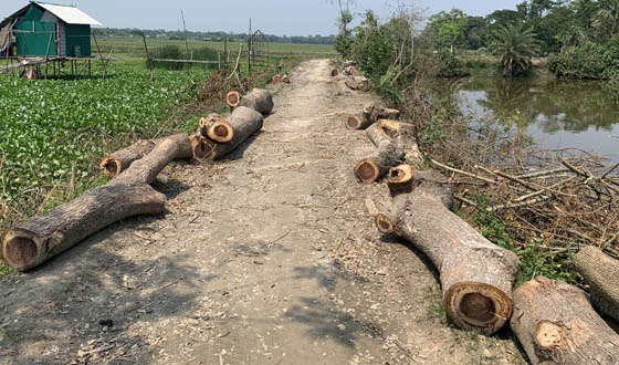 দাকোপে ইউপি চেয়ারম্যানের বিরুদ্ধে অনিয়মের অভিযোগ