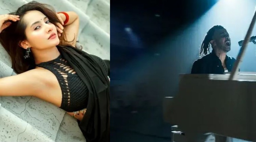 শাকিব খানকে প্রশংসায় ফারিন