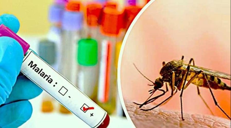 দেশে নতুন করে উদ্বেগ বাড়াচ্ছে ম্যালেরিয়া