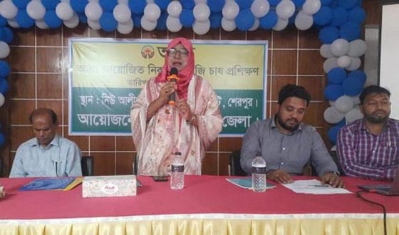 শেরপুরে নিরাপদ সবজি চাষ প্রশিক্ষণ