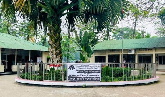 টিনশেডের প্রশাসনিক ভবনে চলছে কলেজের কার্যক্রম