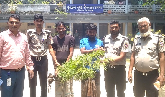বাজিতপুর ও নিকলীতে মাদকসহ গ্রেপ্তার ৪